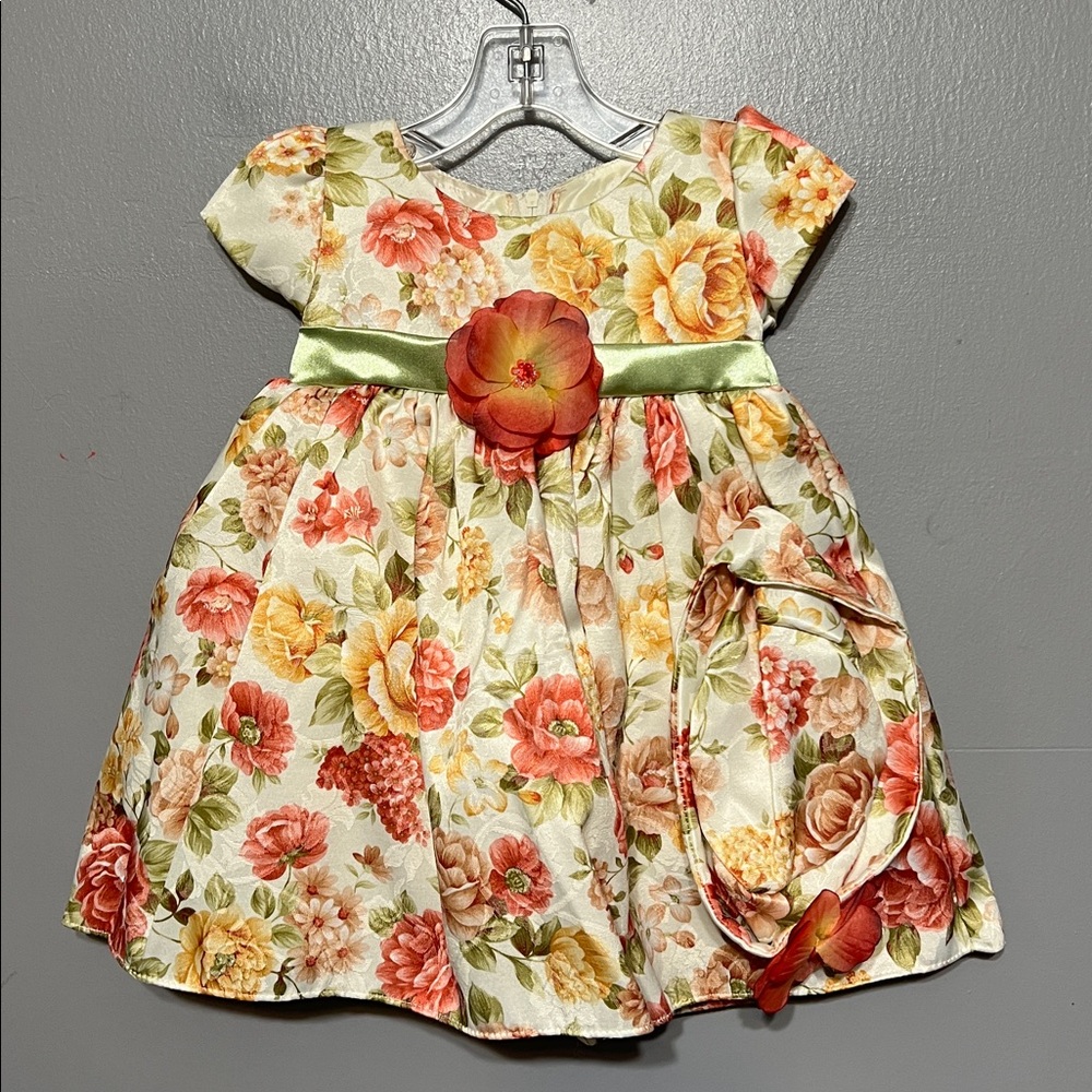 Cinderella Couture USA Baby Girl Floral Dress Satin Waistband Matching Hat 12M